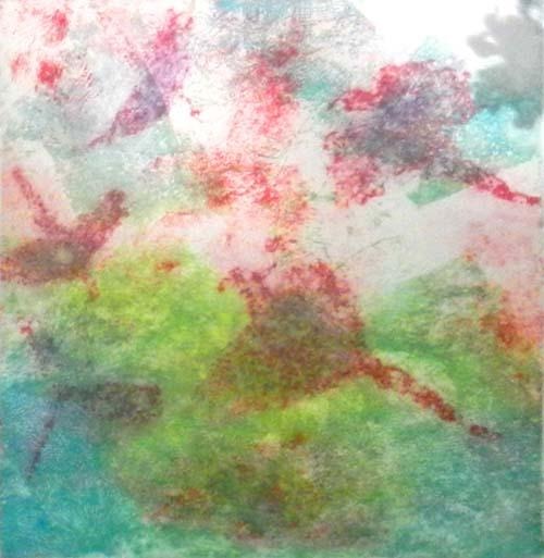 arara-variation-9--estampe---tirage-unique-513x500