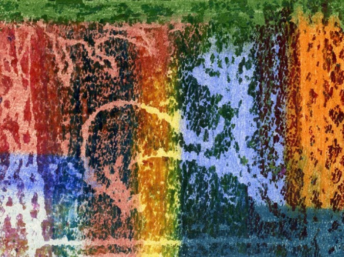 mata-atlantica-1-503x674