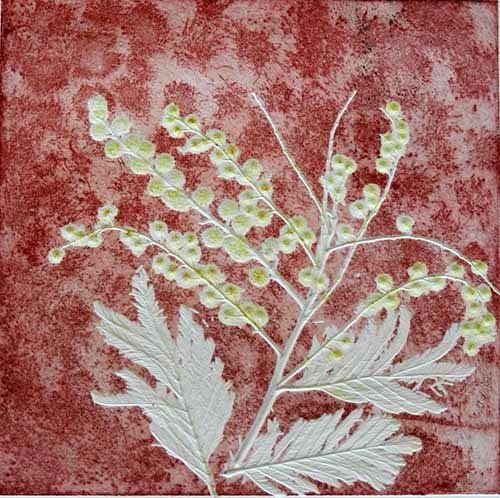 mimosa-4----a-2017-498x500